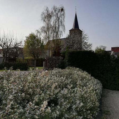 B&B 'T Huys Van Enaeme Oudenaarde Exteriör bild